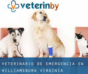 Veterinario de emergencia en Williamsburg (Virginia)