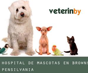 Hospital de mascotas en Browns (Pensilvania)