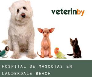 Hospital de mascotas en Lauderdale Beach