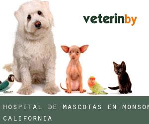 Hospital de mascotas en Monson (California)