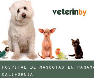 Hospital de mascotas en Panama (California)