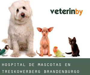 Hospital de mascotas en Treskowerberg (Brandenburgo)