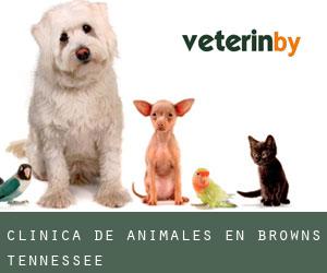 Clínica de animales en Browns (Tennessee)
