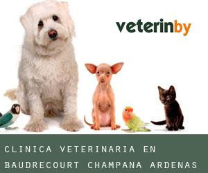 Clínica veterinaria en Baudrecourt (Champaña-Ardenas)
