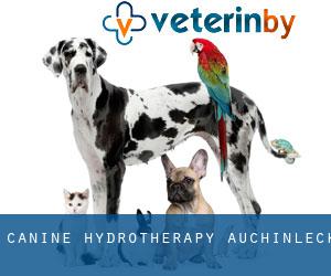 Canine Hydrotherapy (Auchinleck)