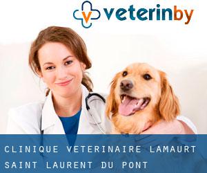 Clinique Vétérinaire Lamaurt (Saint-Laurent-du-Pont)
