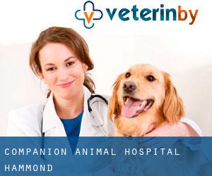 Companion Animal Hospital (Hammond)