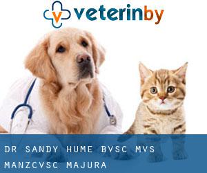 Dr Sandy Hume BVSc, MVS MANZCVSc (Majura)