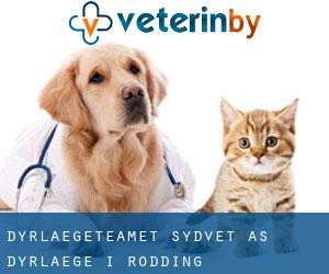Dyrlægeteamet Sydvet A/S - Dyrlæge i Rødding