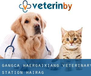 Gangca Ha'ergaixiang Veterinary Station (Hairag)
