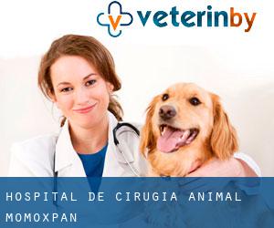 HOSPITAL DE CIRUGIA ANIMAL (Momoxpan)