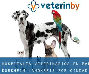 hospitales veterinarios en Bad Dürkheim Landkreis por ciudad importante - página 1