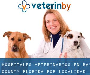 hospitales veterinarios en Bay County Florida por localidad - página 2