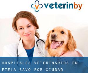 hospitales veterinarios en Etelä-Savo por ciudad importante - página 1
