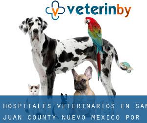 hospitales veterinarios en San Juan County Nuevo México por urbe - página 1