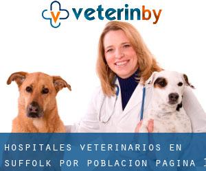 hospitales veterinarios en Suffolk por población - página 1