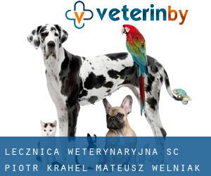 Lecznica Weterynaryjna S.C. Piotr Krahel Mateusz Wełniak (Poznań)