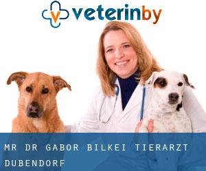 Mr. Dr. Gabor Bilkei Tierarzt (Dübendorf)
