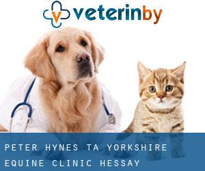 Peter Hynes t/a Yorkshire Equine Clinic (Hessay)