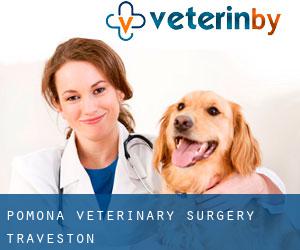 Pomona Veterinary Surgery (Traveston)