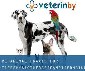 Rehanimal-Praxis für Tierphysiotherapie&Tiernaturheilkunde (Lipperode)