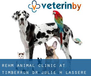 Rehm Animal Clinic at TimberRun: Dr. Julie H Lassere DVM (Ellisville)