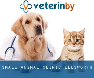 Small Animal Clinic (Ellsworth)