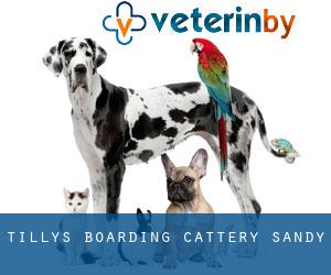 Tilly's Boarding Cattery (Sandy)