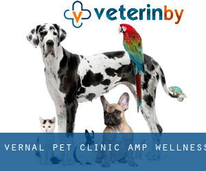 Vernal Pet Clinic & Wellness