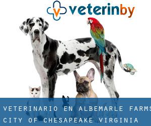 veterinario en Albemarle Farms (City of Chesapeake, Virginia)