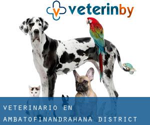veterinario en Ambatofinandrahana District