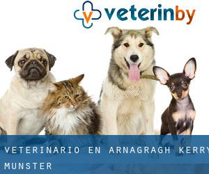 veterinario en Arnagragh (Kerry, Munster)