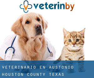veterinario en Austonio (Houston County, Texas)