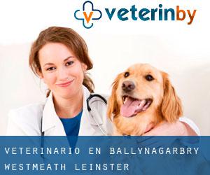 veterinario en Ballynagarbry (Westmeath, Leinster)