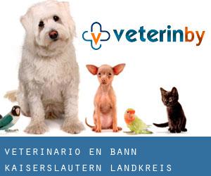 veterinario en Bann (Kaiserslautern Landkreis, Renania-Palatinado)