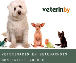 veterinario en Beauharnois (Montérégie, Quebec)