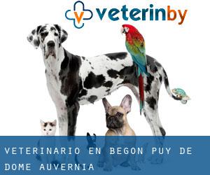 veterinario en Bégon (Puy de Dome, Auvernia)