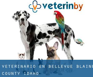 veterinario en Bellevue (Blaine County, Idaho)