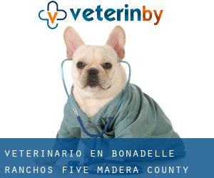 veterinario en Bonadelle Ranchos Five (Madera County, California)