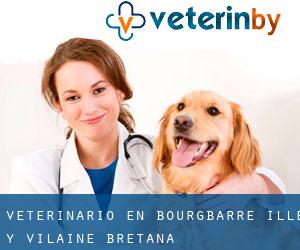 veterinario en Bourgbarré (Ille y Vilaine, Bretaña)