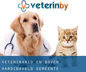 veterinario en Boven-Hardinxveld (Gemeente Hardinxveld-Giessendam, Holanda Meridional)