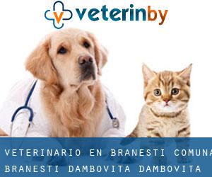veterinario en Brăneşti (Comuna Brăneşti (Dâmboviţa), Dâmboviţa)