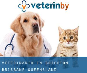 veterinario en Brighton (Brisbane, Queensland)