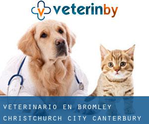 veterinario en Bromley (Christchurch City, Canterbury)