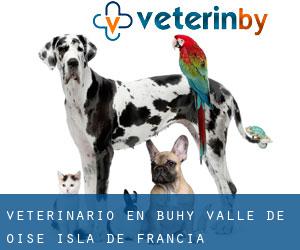 veterinario en Buhy (Valle de Oise, Isla de Francia)
