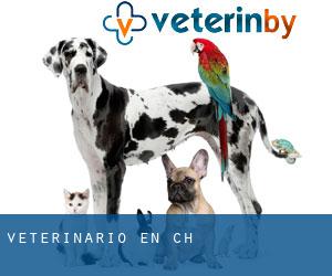 veterinario en Chờ