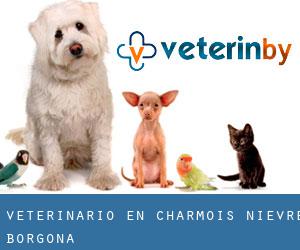 veterinario en Charmois (Nievre, Borgoña)