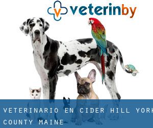 veterinario en Cider Hill (York County, Maine)