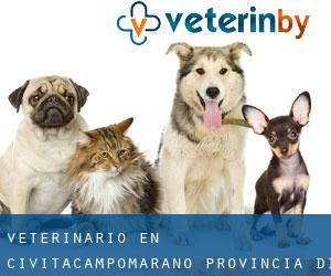 veterinario en Civitacampomarano (Provincia di Campobasso, Molise)
