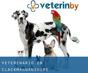 veterinario en Clackmannanshire